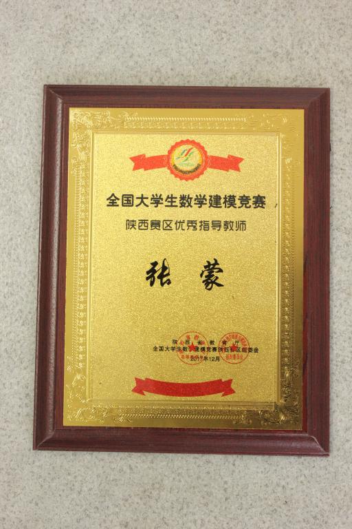 陕西赛区优秀指导教师奖