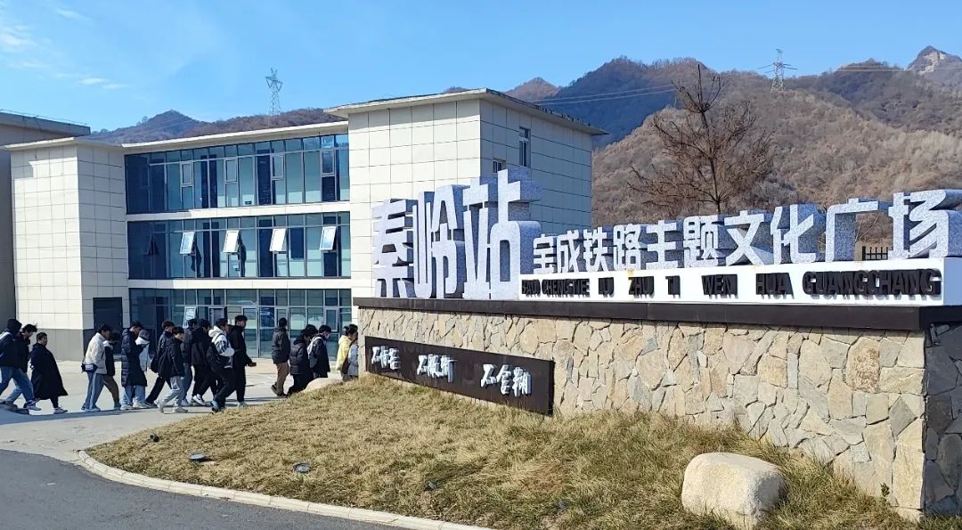 9663.jpg 图片